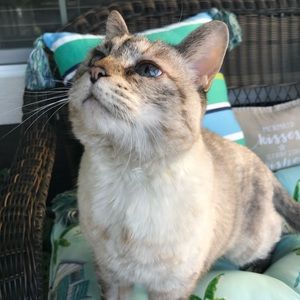 Meet your Posher, Kellie